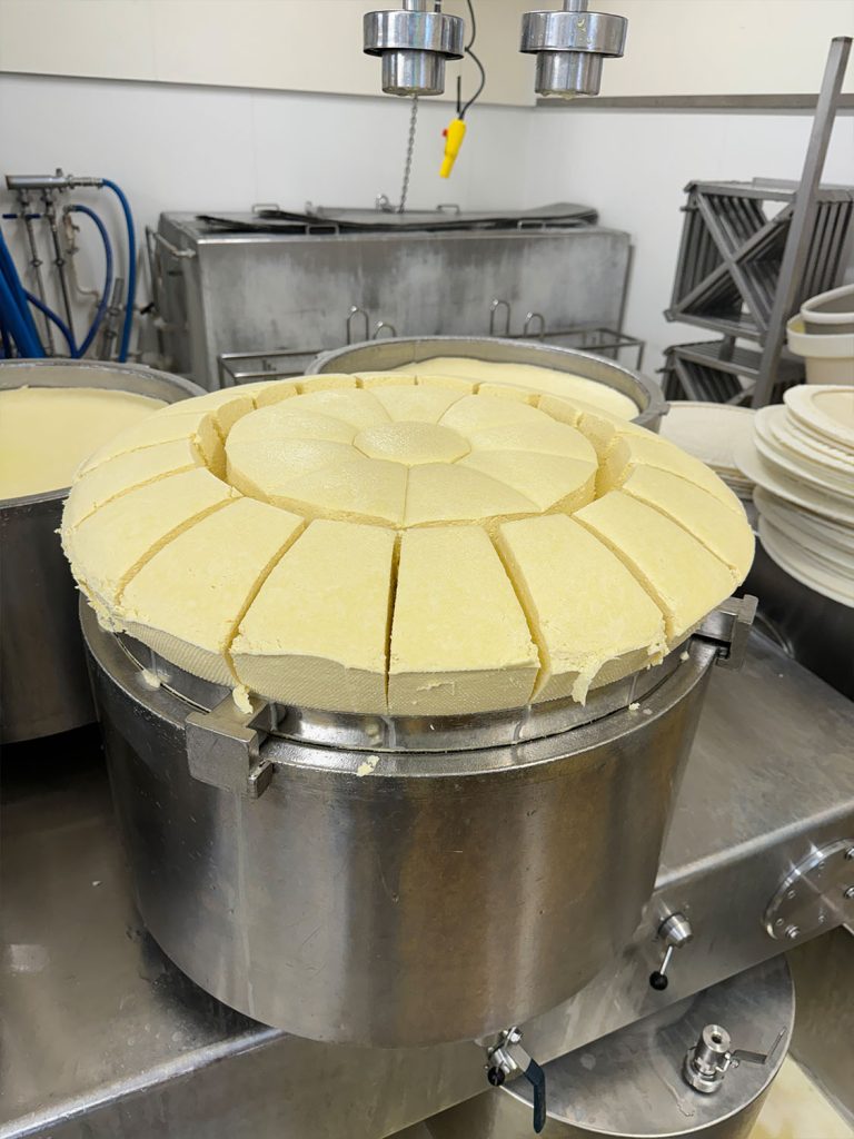 Production process of the P'tit Jurassic cheese.