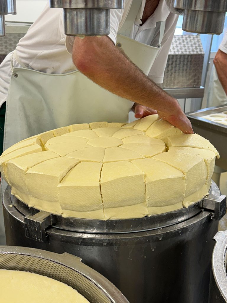 Production process of the P'tit Jurassic cheese.