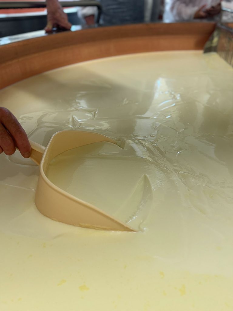 Production process of the P'tit Jurassic cheese.