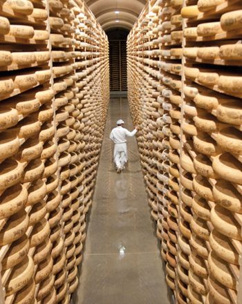 2025-Comte-Marcel-Petite-collections 2x