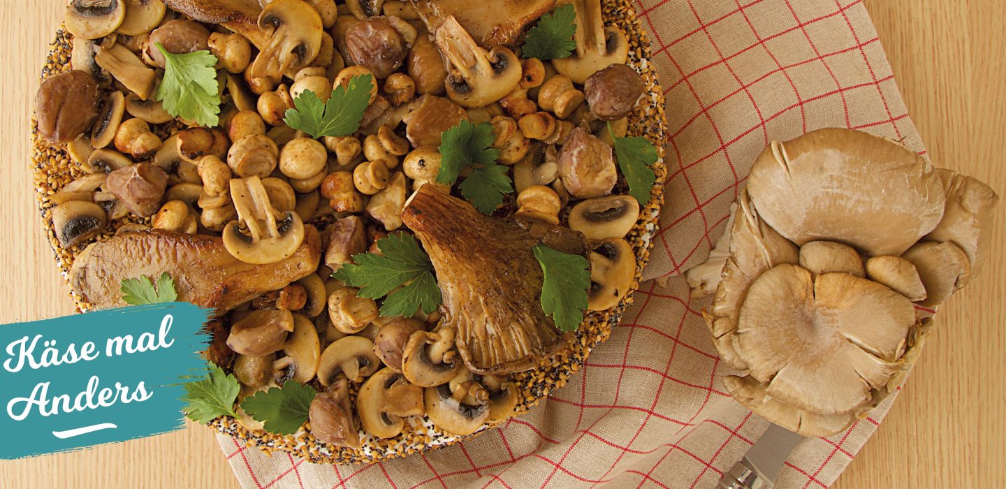 all-St-Ceols-champignons-KMA