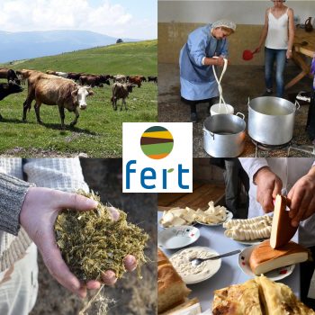New humanitarian initiative with the NGO FERT