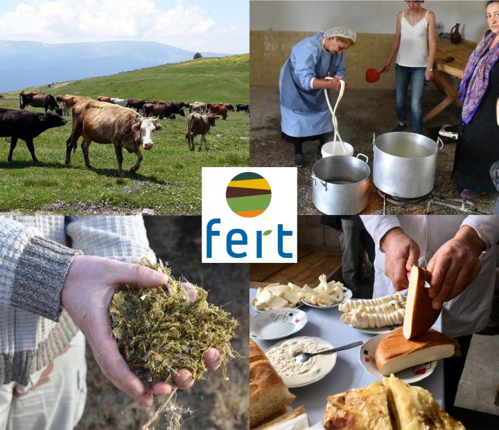 Fert-fromi