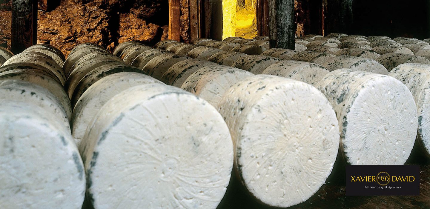 Fromi-caves-Roquefort Papillon