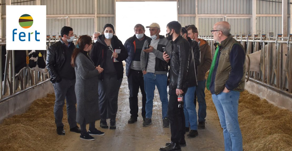 Fromi Fert Project in 