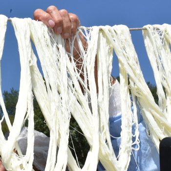 FERT: OUR SOLIDARITY COMMITMENTS IN 2022