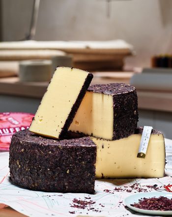 Koch-truffalo 2x