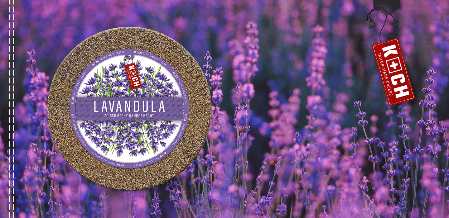Lavandula_Fromi_Web