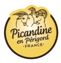 LOGO_PICANDINE_JAUNE