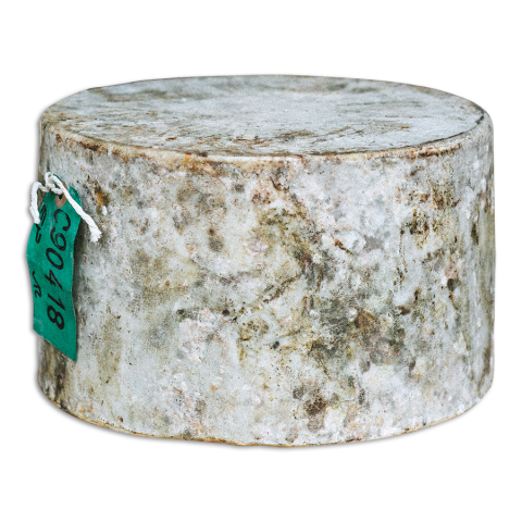 Cheddar mit Holunbderblüten