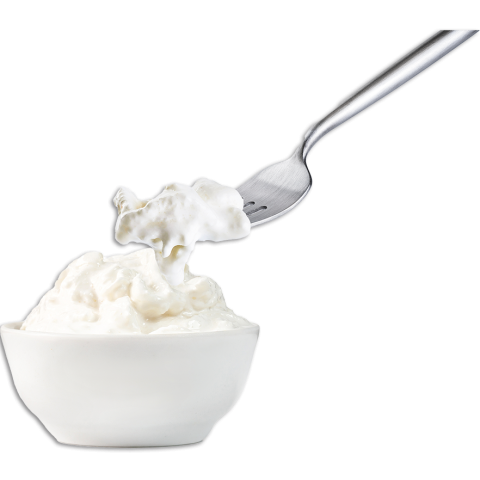 Stracciatella di bufala
