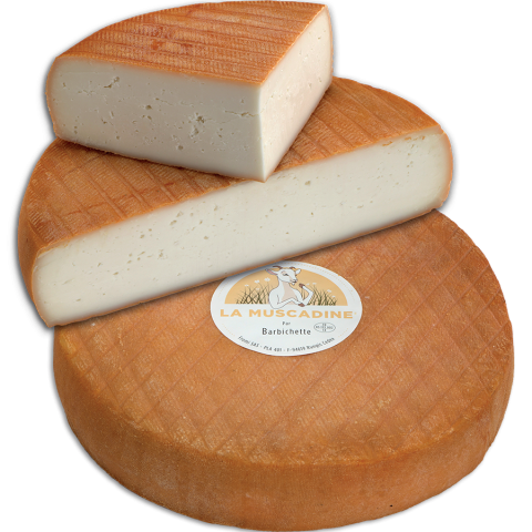 La Muscadine Barbichette
