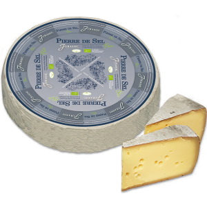 Organic Pierre de Sel Jurassic