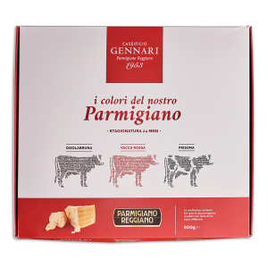 Box Parmigiano Reggiano DOP 24 months, Vacca 