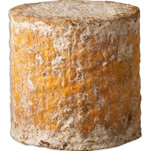 Blue Stilton PDO Hartington