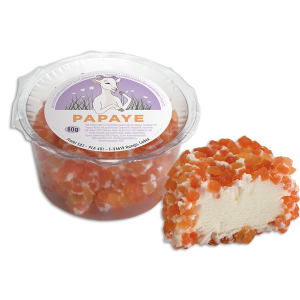 Frischer Ziegenkäse Barbichette Papaya 80g Schale